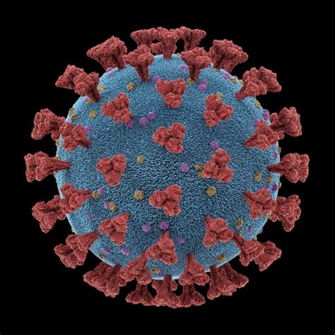 Coronavirus Actualización 06042020 Lister Laboratorios De Análisis