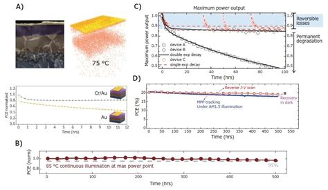 Perovskite Solar Cells