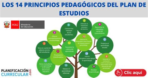 LOS 14 PRINCIPIOS PEDAGÓGICOS DEL PLAN DE ESTUDIOS Planificacion