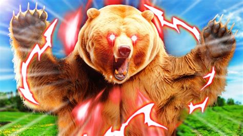 Comment Les Ours Balayent Leurs Proies Youtube