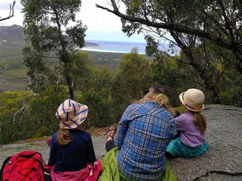 Lilly Pilly Gully Loop Walk Tidal River Wilsons Promontory Walking