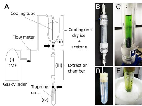 Apparatus For Enzyme Extraction With Dme A Composition Of The