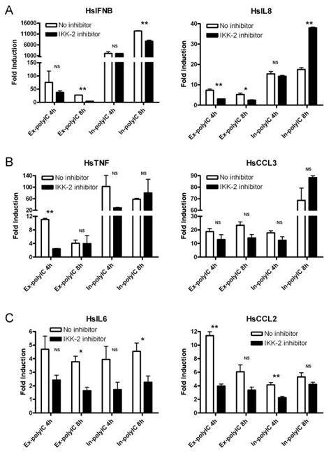 Involvement of IKK-2 in gene activation in response to extracellular ...