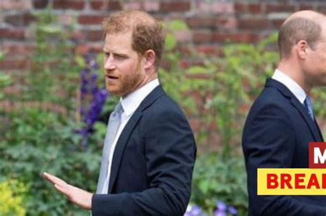 Harry Claims People Were Happy To Lie To Protect William But Meghan