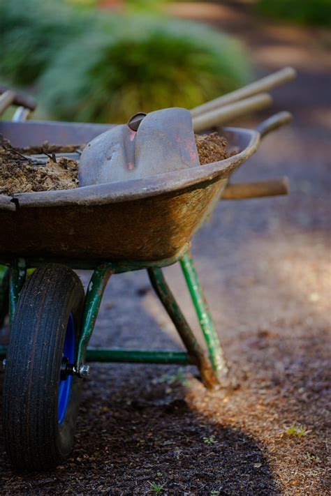 Garden Gardening Wheelbarrow Free Photo On Pixabay Pixabay