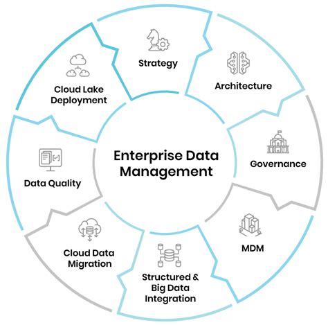 Data Management Analytics Services Trianz