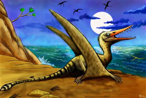 Classic Rhamphorhynchus By Jorgearagon On Deviantart