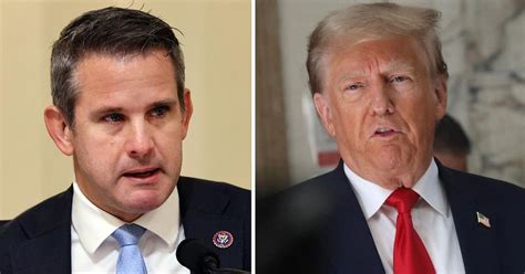 Adam Kinzinger Calls Donald Trump A 'Professional Victim'