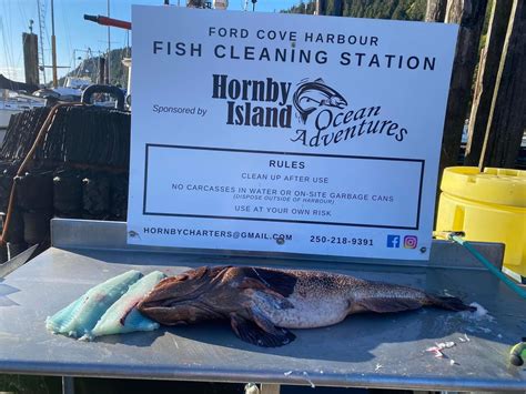 Hornby Island Bc Upcoming Events Hornby Ocean Adventures