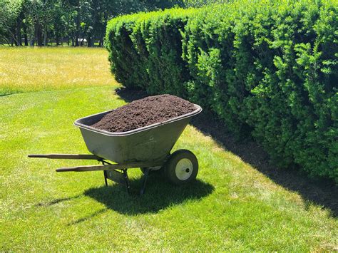 Amazing Benefits Of Mulching Transform Your Garden