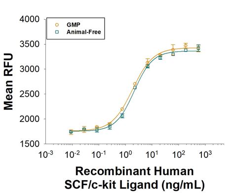 Recombinant Human Scf Gmp Protein Cf Bt Scf Gmp Bio Techne