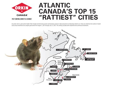 Atlantic Canadas Top 15 Rattiest Cities 2022 Orkin Canada Canada