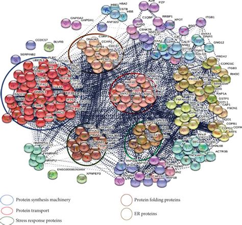 (a) Visualization of protein–protein interaction network of ...