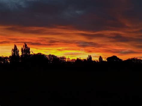 A Sunset with Trees on Fire Stock Photo - Image of sunrise, beautiful ...