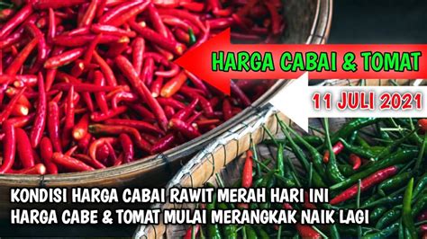 Harga Cabe Hari Ini 11 JULI 2021 Info Harga Cabai Rawit Merah Hari