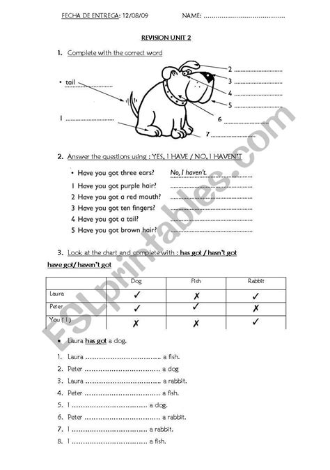 Revision Parts Of The Body Has Got Have Got Esl Worksheet By