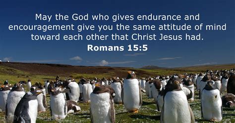 Romans 15:5 - Bible verse - DailyVerses.net