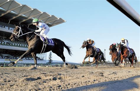 【チャンピオンズc】チュウワウィザード、クリソベリル撃破で悲願のjra・g1初制覇 Umatoku 馬トク