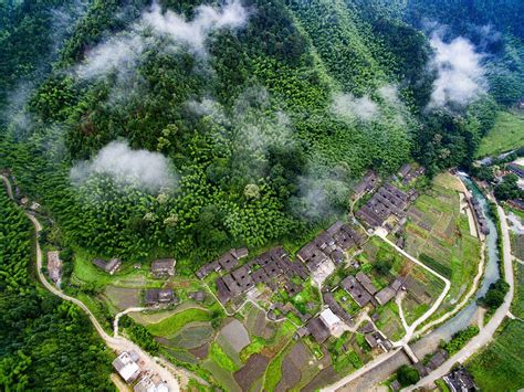 铁长乡首届客家本草养生文化旅游节摄影大赛获奖公布