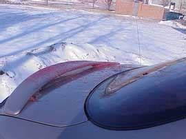 Tonyrogers Big Ass Deer Hit In Wisconsin