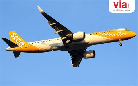 petualangan  mengagumkan  cina  keunggulan terbang bersama