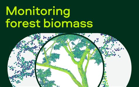 Mapping Forest Structure Across The Landscape