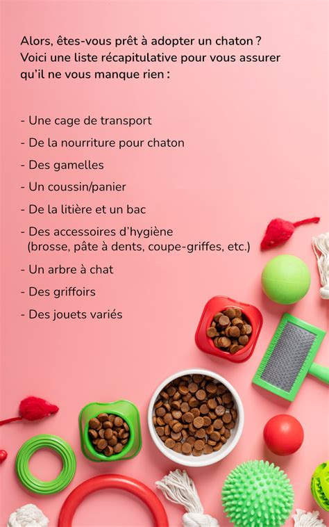 Alimentation Maison Pour Chaton Ventana Blog