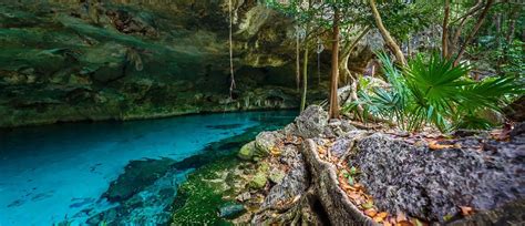 Los Mejores Cenotes En Tulum Muaré Tulum Sitio Oficial