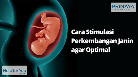 Cara Stimulasi Perkembangan Janin Agar Optimal Primaya Hospital