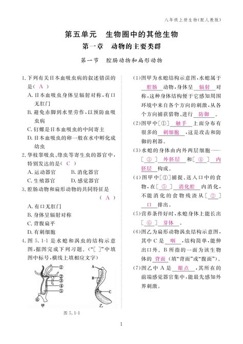 2023年作业本江西教育出版社八年级生物上册人教版答案——青夏教育精英家教网——