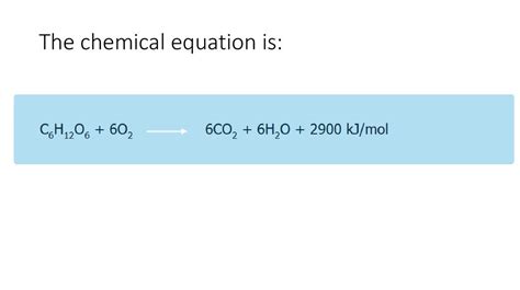 The Structure And Function Of Atp The Formation Of Atp In The Aerobic