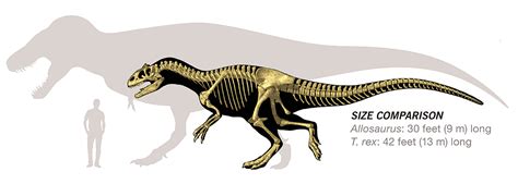 Tyrannosaurus Rex Vs Allosaurus Fandom