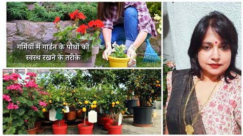 गर्मियों में पौधों की देखभाल कैसे करें How To Care Plants In Summer 🌞