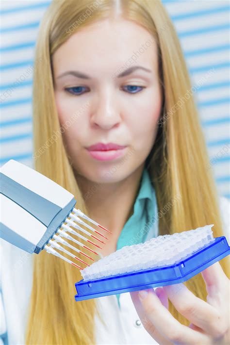 Lab Assistant Holding Micro Pipette Stock Image F013 2187 Science