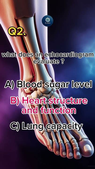 Heart Diseases Quiz 🫀 Boost Your Knowledge On Heart And Cardiovascular