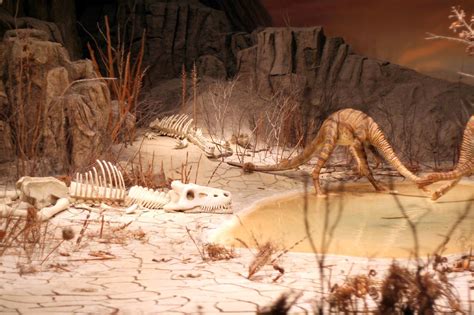 Dinosaurs At A Watering Hole A Photo On Flickriver