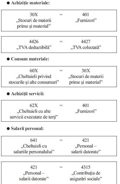 Monografie Contabila Pentru Servicii De Cazare Pensiune