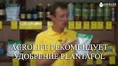 Радифарм - биостимулятор развития корневой системы Как правильно ...