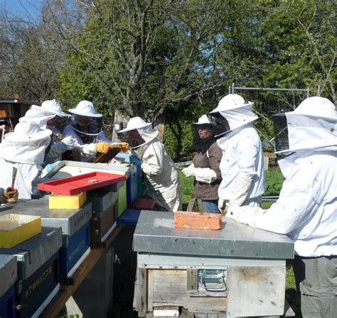 Val De Moder Initiation Lapiculture