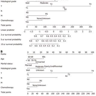 Nomogram To Predict 3 5 And 10 Year Overall Survival And