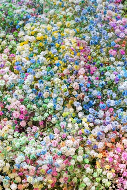 Premium Photo | Multicolored small flowers beautiful floral background