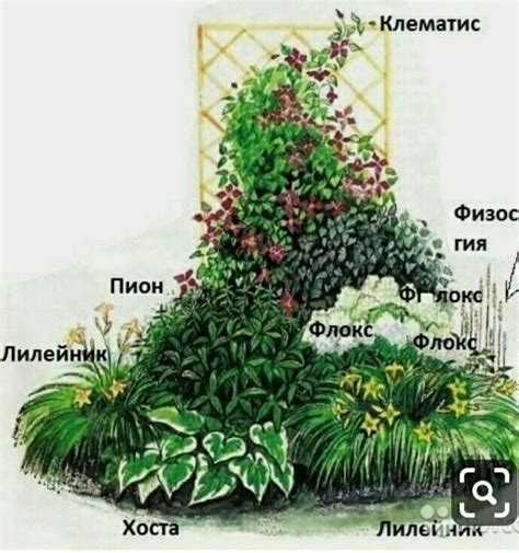Пин на доске Сад, огород | Идеи посадки растений, Идеи озеленения ...