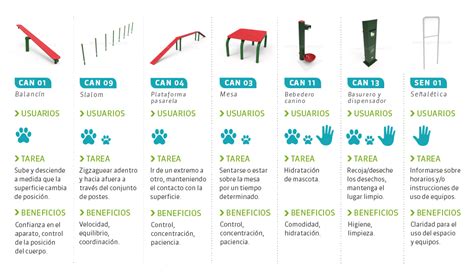 Circuitos Caninos Agility Obst Culos De Entrenamiento