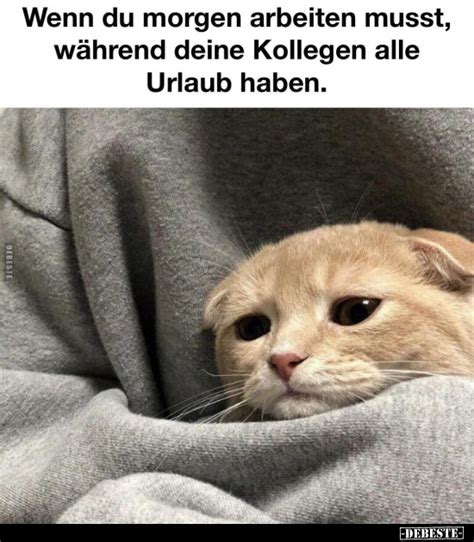 Wenn Du Morgen Arbeiten Musst W Hrend Deine Kollegen Alle Urlaub Haben