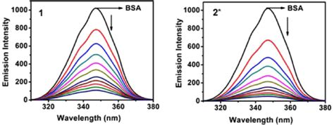 Synchronous Spectra Of Bsa M As A Function Of Concentration Of