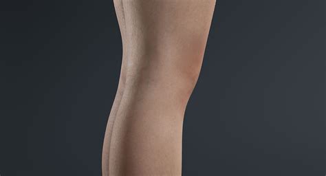 Naked Maria D Model Fbx Max C D Unitypackage Upk Ma Obj Gltf Free D