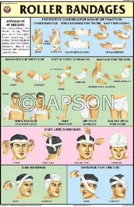 First Aid Charts School Education