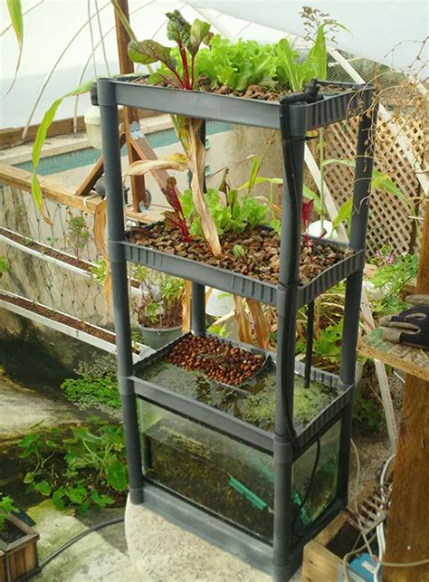 Brilliant Diy Vertical Aquaponic System Off Grid World