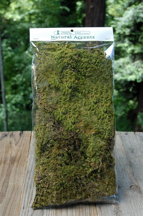 Natural Sheet Moss 2oz Bag