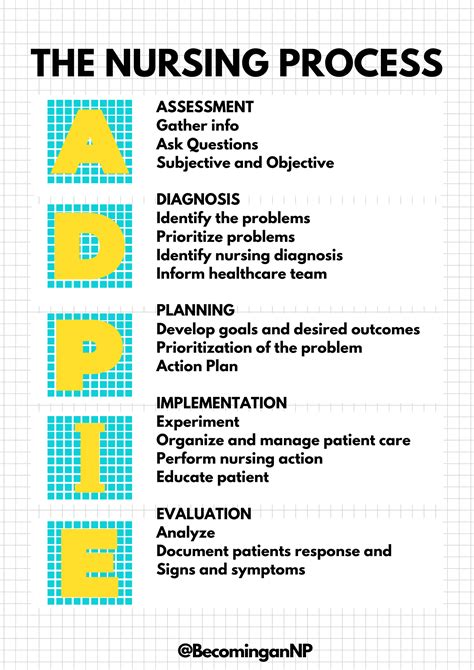 The Nursing Process Adpie Vanthenp